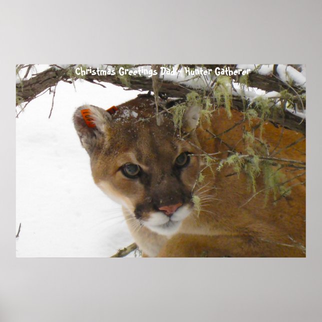 Póster Felicitaciones de Navidad Papá Hunter Gatherer (Frente)