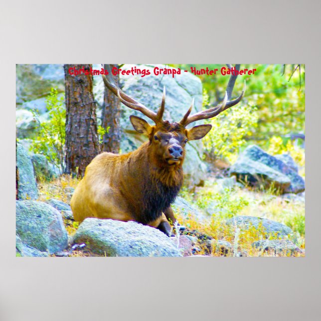 Póster Felicitaciones navideñas al abuelo Hunter Gatherer (Frente)