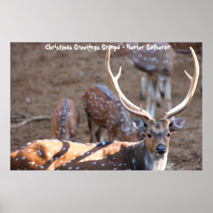 Póster Felicitaciones navideñas al abuelo Hunter Gatherer