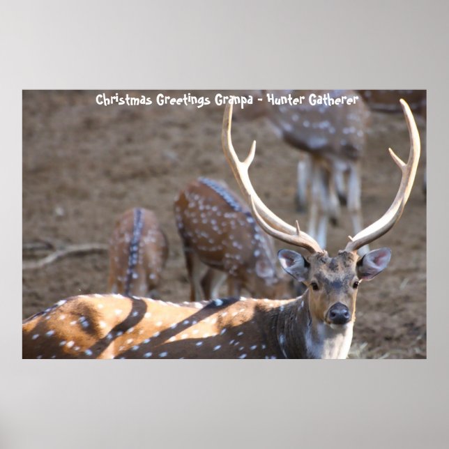 Póster Felicitaciones navideñas al abuelo Hunter Gatherer (Frente)