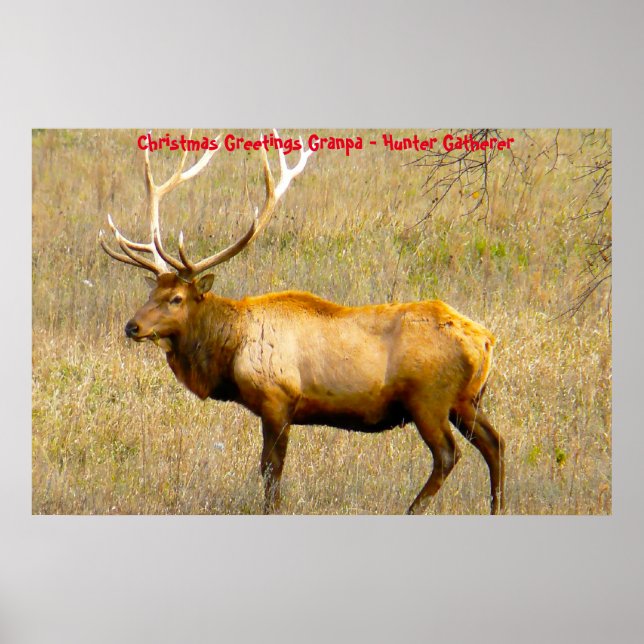 Póster Felicitaciones navideñas al abuelo Hunter Gatherer (Frente)