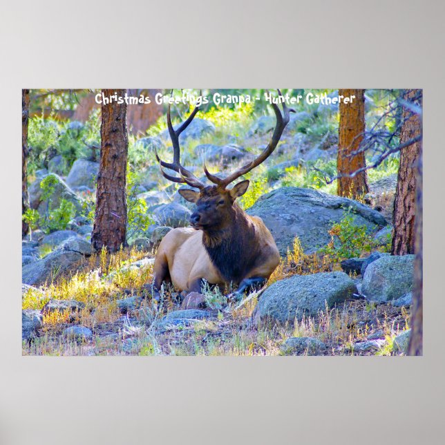 Póster Felicitaciones navideñas al abuelo Hunter Gatherer (Frente)