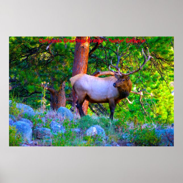 Póster Felicitaciones navideñas al abuelo Hunter Gatherer (Frente)