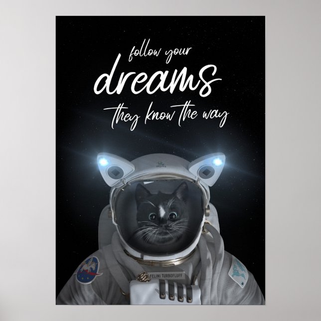 Póster Felini Space Cat - Follow Your Dreams - (Frente)