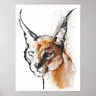 Póster Felino