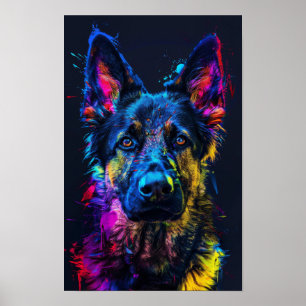 Póster Feliz cruz Husky con breve pastor alemán