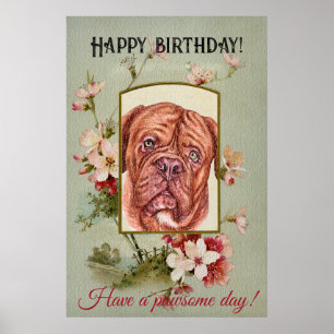 Póster Feliz cumpleaños a la mastiff francesa