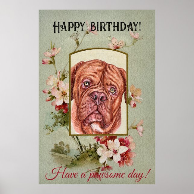 Póster Feliz cumpleaños a la mastiff francesa (Frente)