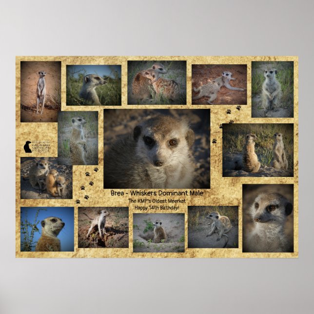 Póster Feliz cumpleaños, Poster Brea (Frente)