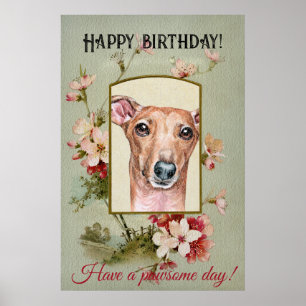 Póster Feliz cumpleaños saludos a Greyhound italiano
