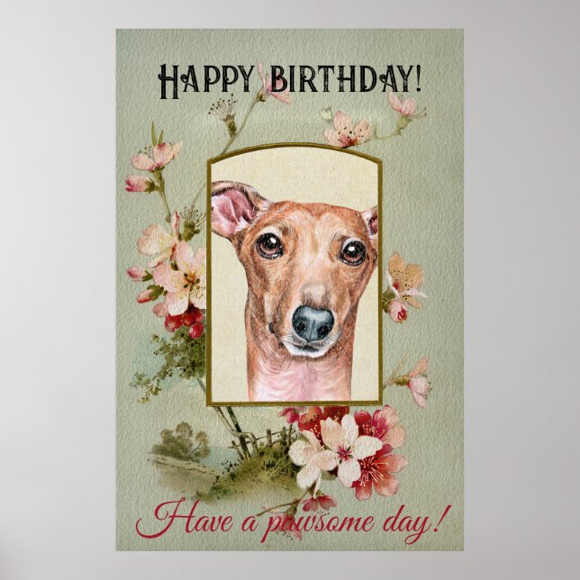 Póster Feliz cumpleaños saludos a Greyhound italiano (Frente)