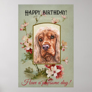 Póster Feliz cumpleaños saludos ingleses cocker spaniel