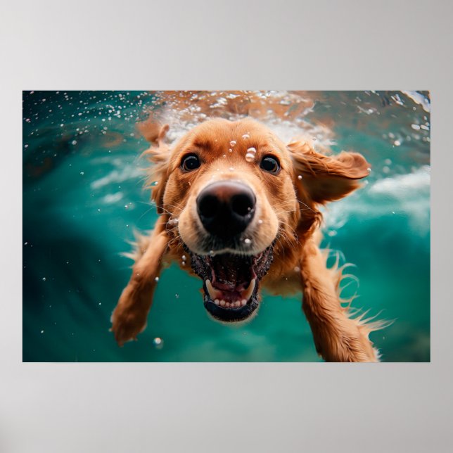 Póster Feliz Golden Retriever Nadando bajo el agua (Frente)