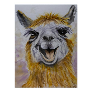 Póster Feliz Lama