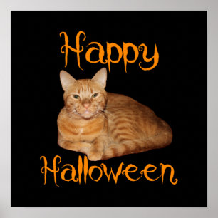 Póster Feliz Naranja de Halloween sin miedo Tabby Cat