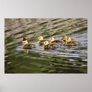 Póster Feliz Navidad Baby Geese