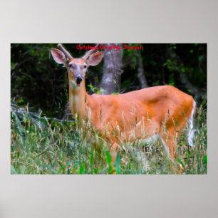 Póster Feliz Navidad Deerest