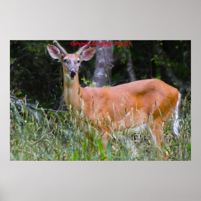 Póster Feliz Navidad Deerest (Frente)