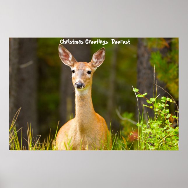 Póster Feliz Navidad Deerest (Frente)