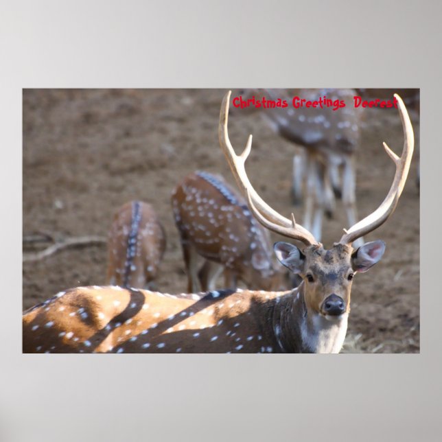 Póster Feliz Navidad Deerest (Frente)
