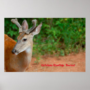 Póster Feliz Navidad Deerest