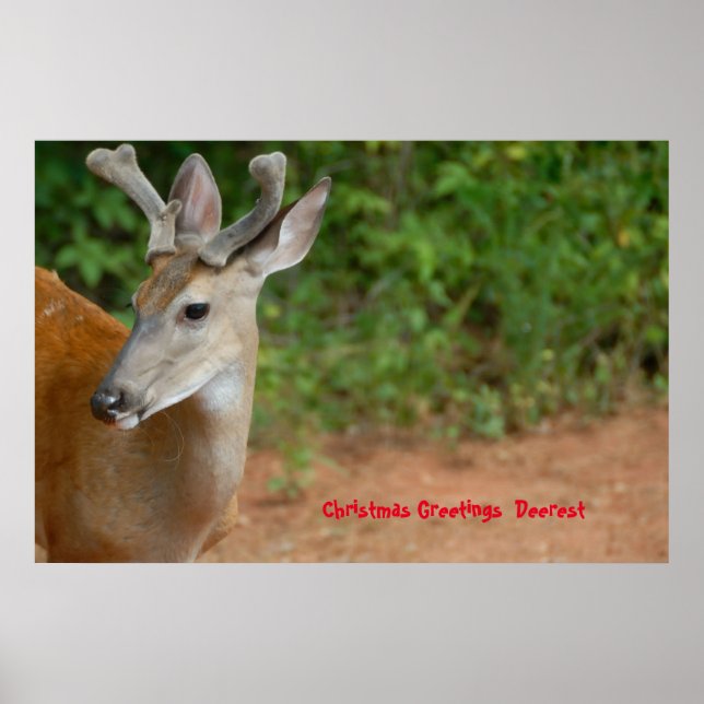 Póster Feliz Navidad Deerest (Frente)