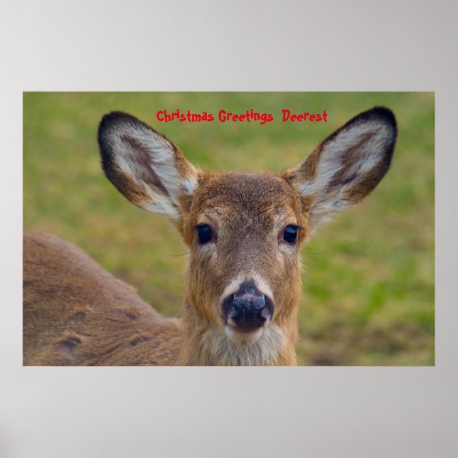 Póster Feliz Navidad Deerest (Frente)