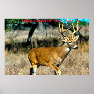 Póster Feliz Navidad Papá Cazador Recolector