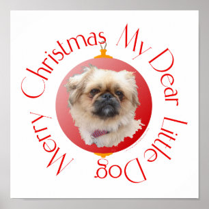 Póster Feliz Navidad Pekingese