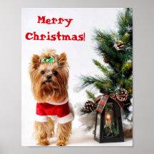 Feliz Navidad Santa Yorkie con árbol de Navidad