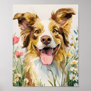 Póster Feliz pastor australiano en flores - acuarela