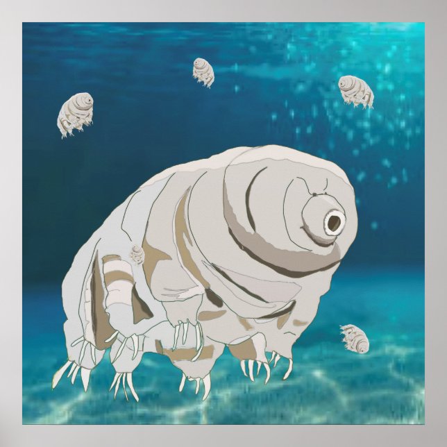 Póster Feliz Tardigrado flotando bajo el agua (Frente)