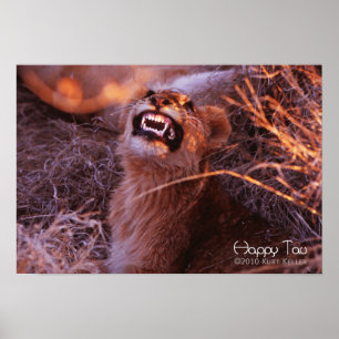Póster Feliz Tau