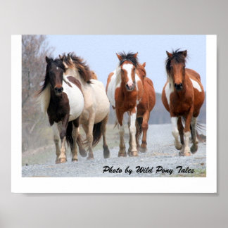 Póster Feliz trotamundos