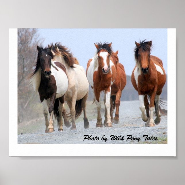 Póster Feliz trotamundos (Frente)