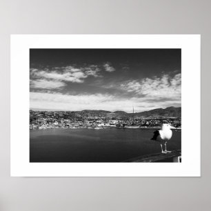 Póster Fellow Curious Bird Black and White Photography