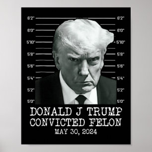 Póster Felon Donald Trump (culpable) lo encerró en prisió