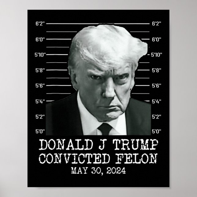 Póster Felon Donald Trump (culpable) lo encerró en prisió (Frente)