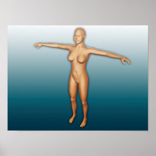 Póster Female Body With Arms Extended