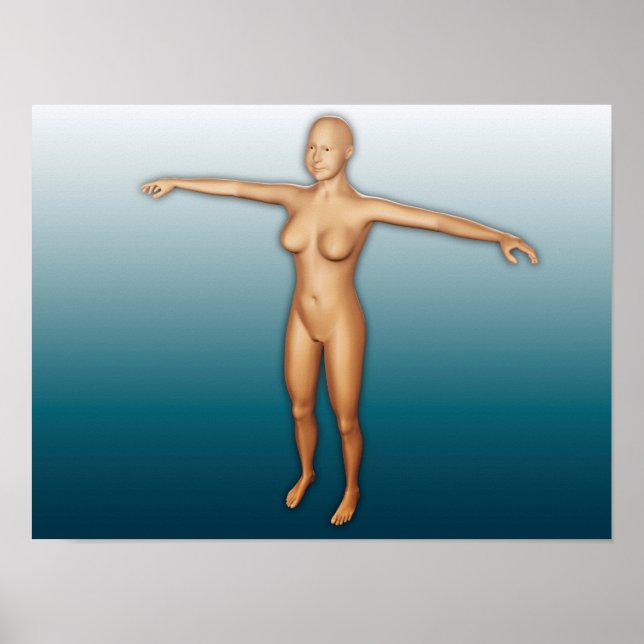 Póster Female Body With Arms Extended (Frente)