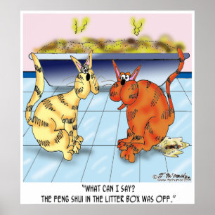 Póster Feng Shui En La Caja De La Litro Está Apagado