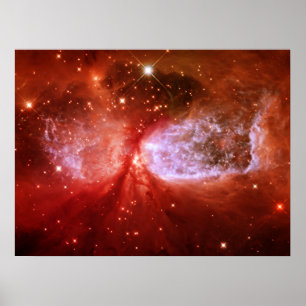 Póster Fénix