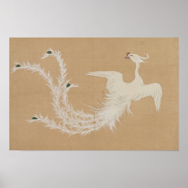 Póster Fénix Blanco  (Frente)