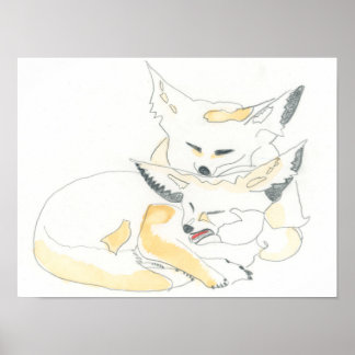 Póster Fennec Foxes