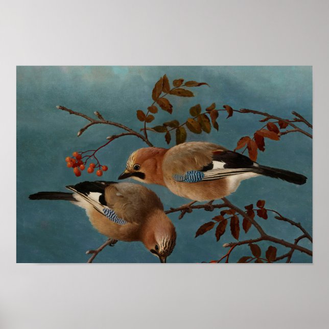 Póster Ferdinand von Wright - Jays (Frente)