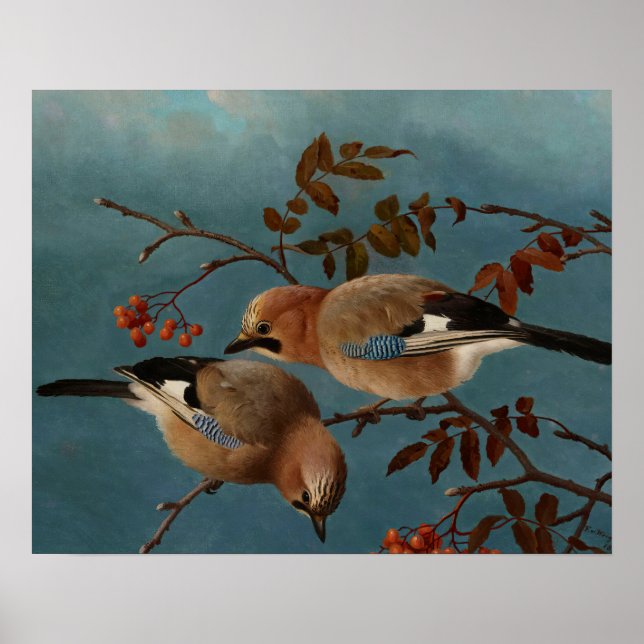 Póster Ferdinand von Wright - Jays (Frente)