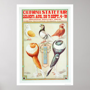 Póster Feria Estatal de California de 1909