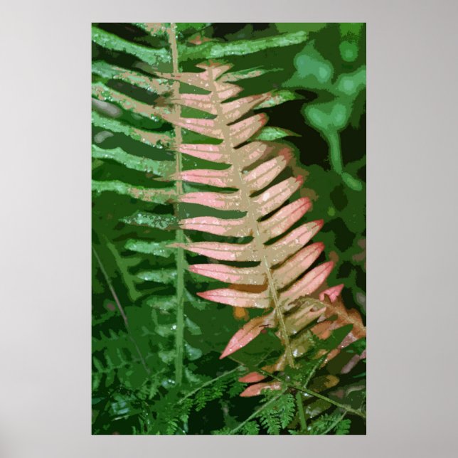 PÓSTER FERN 1 (Frente)