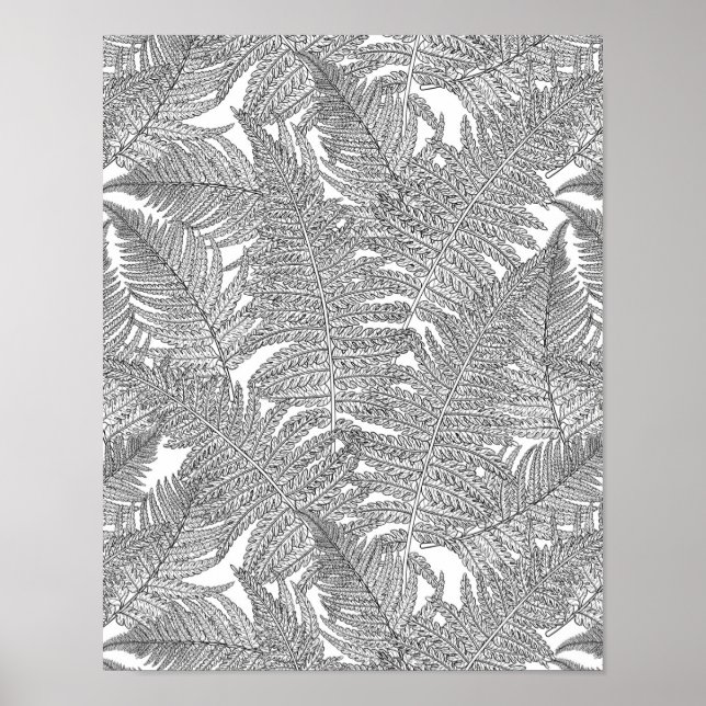 Póster Fern en blanco y negro (Frente)