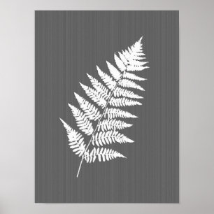 Póster Fern Frond, blanco sobre gris de carbón vegetal /